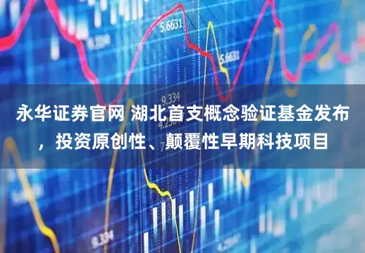 永华证券官网 湖北首支概念验证基金发布，投资原创性、颠覆性早期科技项目